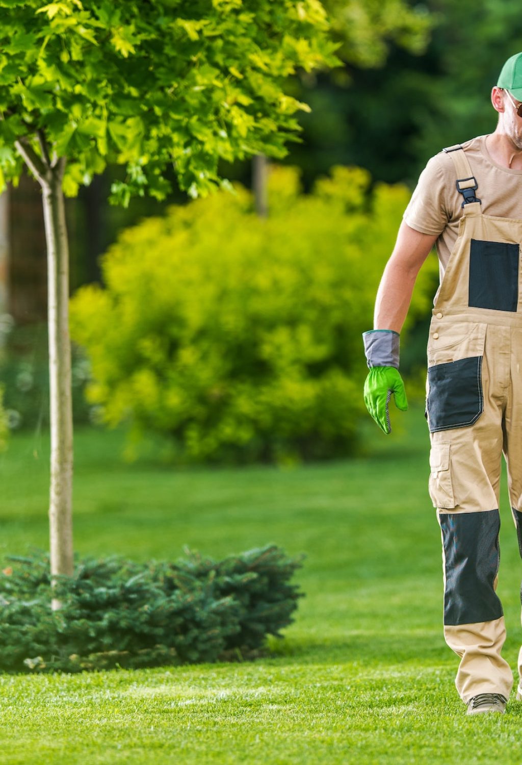 Gardener Blowing Leaves of the Lawn